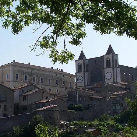 호텔 Balletti Park 비테르보