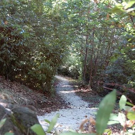 Отель Balletti Park