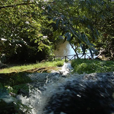 Balletti Park 호텔 비테르보