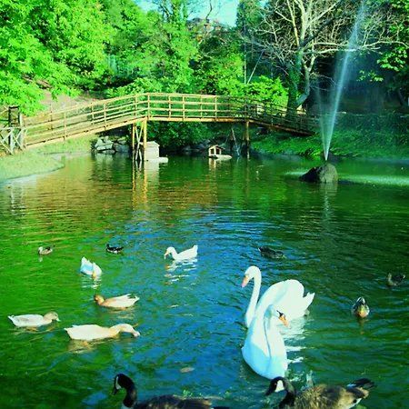 Balletti Park 호텔 4*