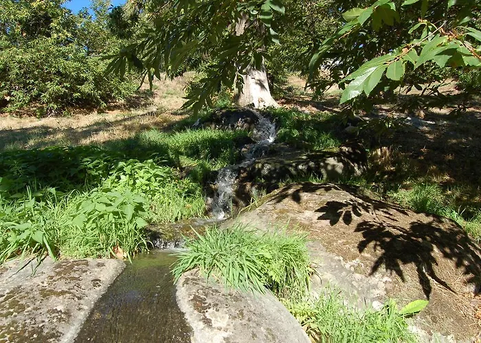 Balletti Park Βιτέρμπο